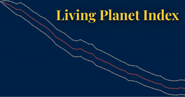 Living Planet Index: what does an average decline of 68% really mean?